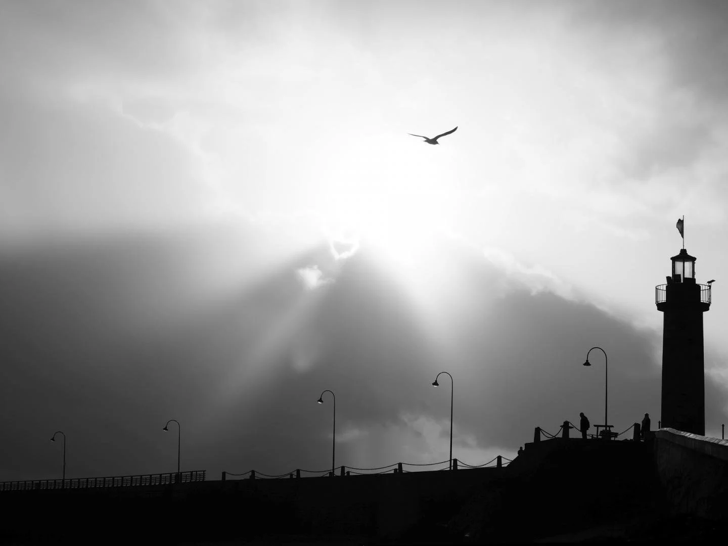 Contre-jour-au-parc-a-huitres_gc.jpg