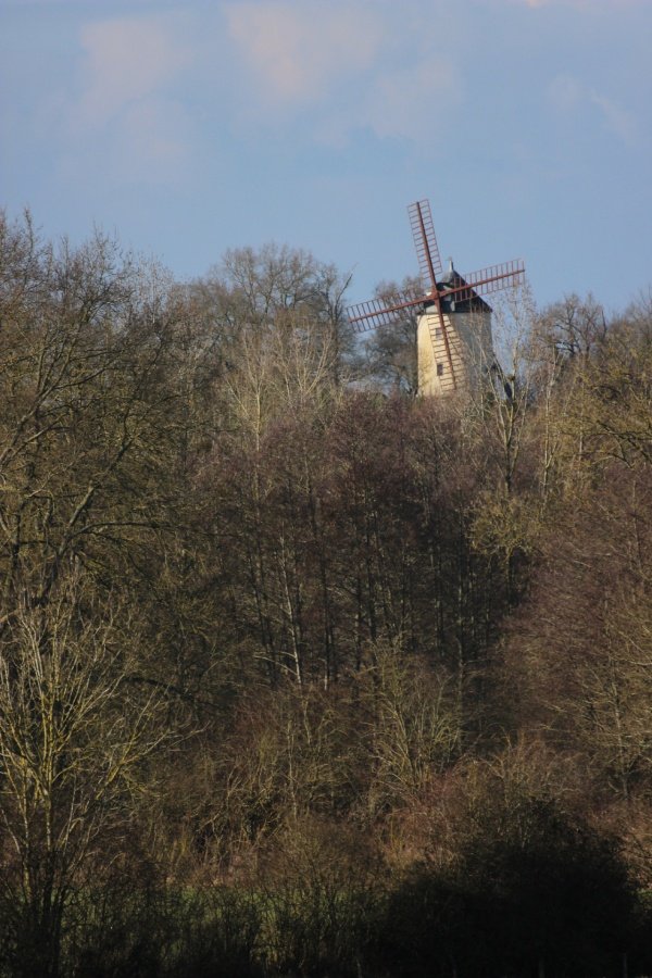 moulin_w.jpg