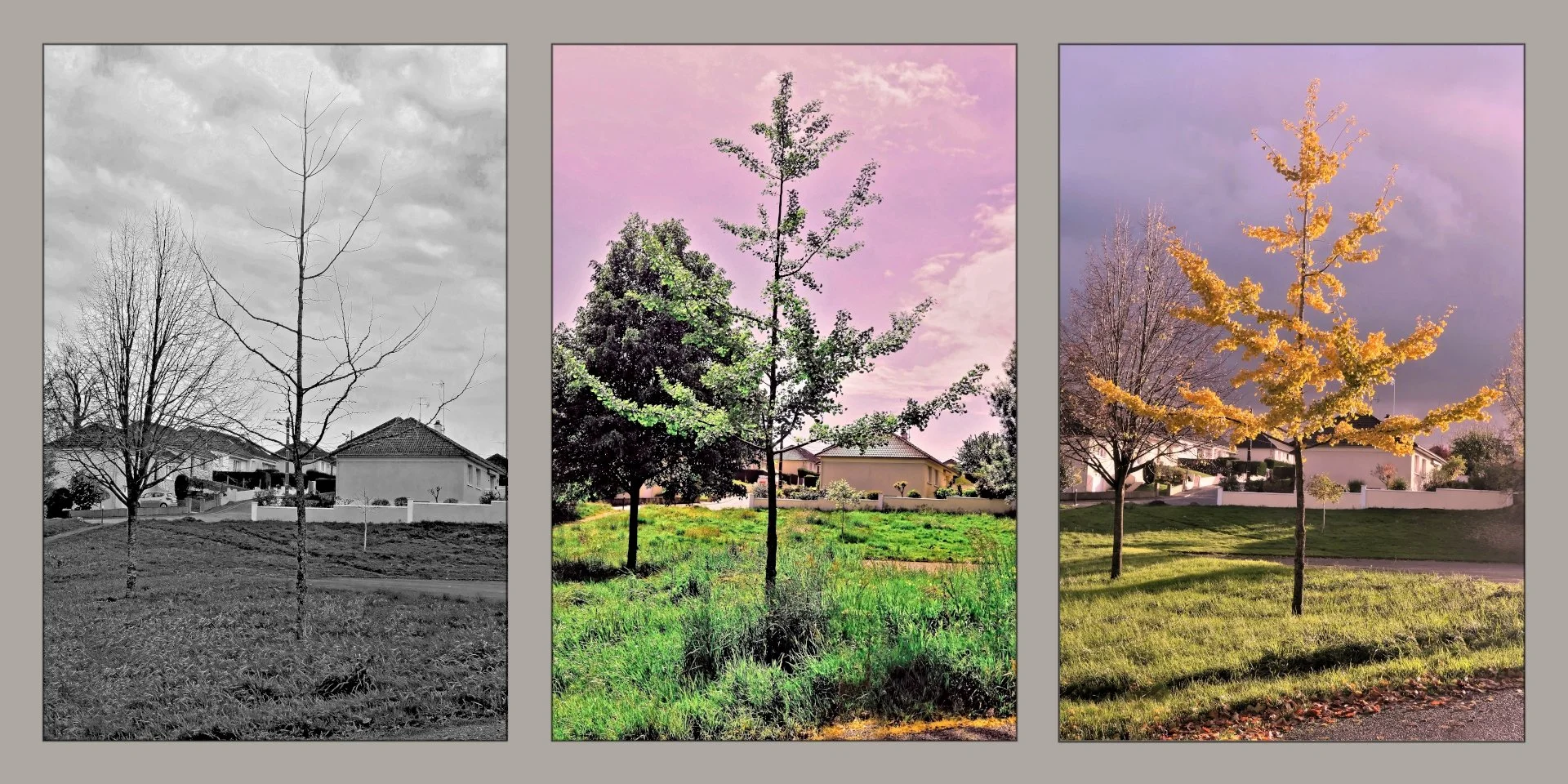 Cest-le-temps-qui-change-tout.jpg