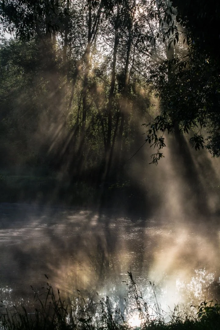 Matin-de-brume.jpg