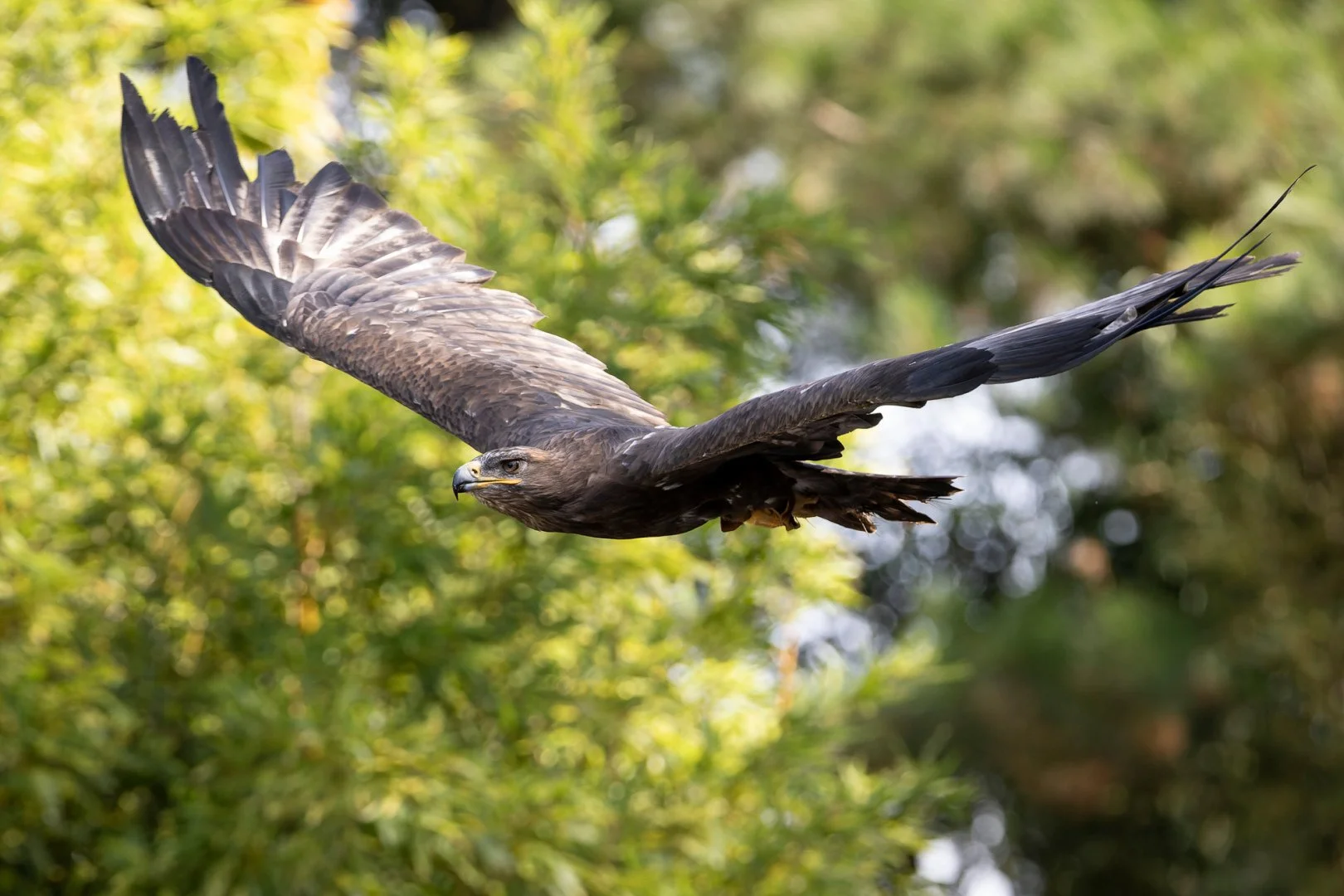 10-25-PF-Zoo-La-Fleche.jpg