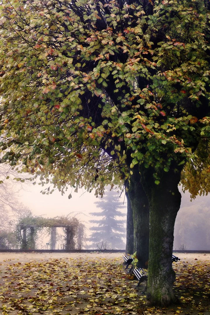 Laval-Image-Defi-Photos-60-ans-Parcs-007.jpg