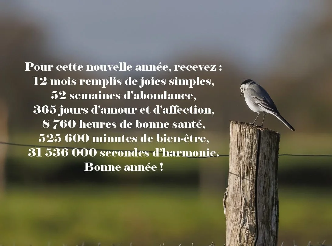 Maryvone-voeux-2024.jpg