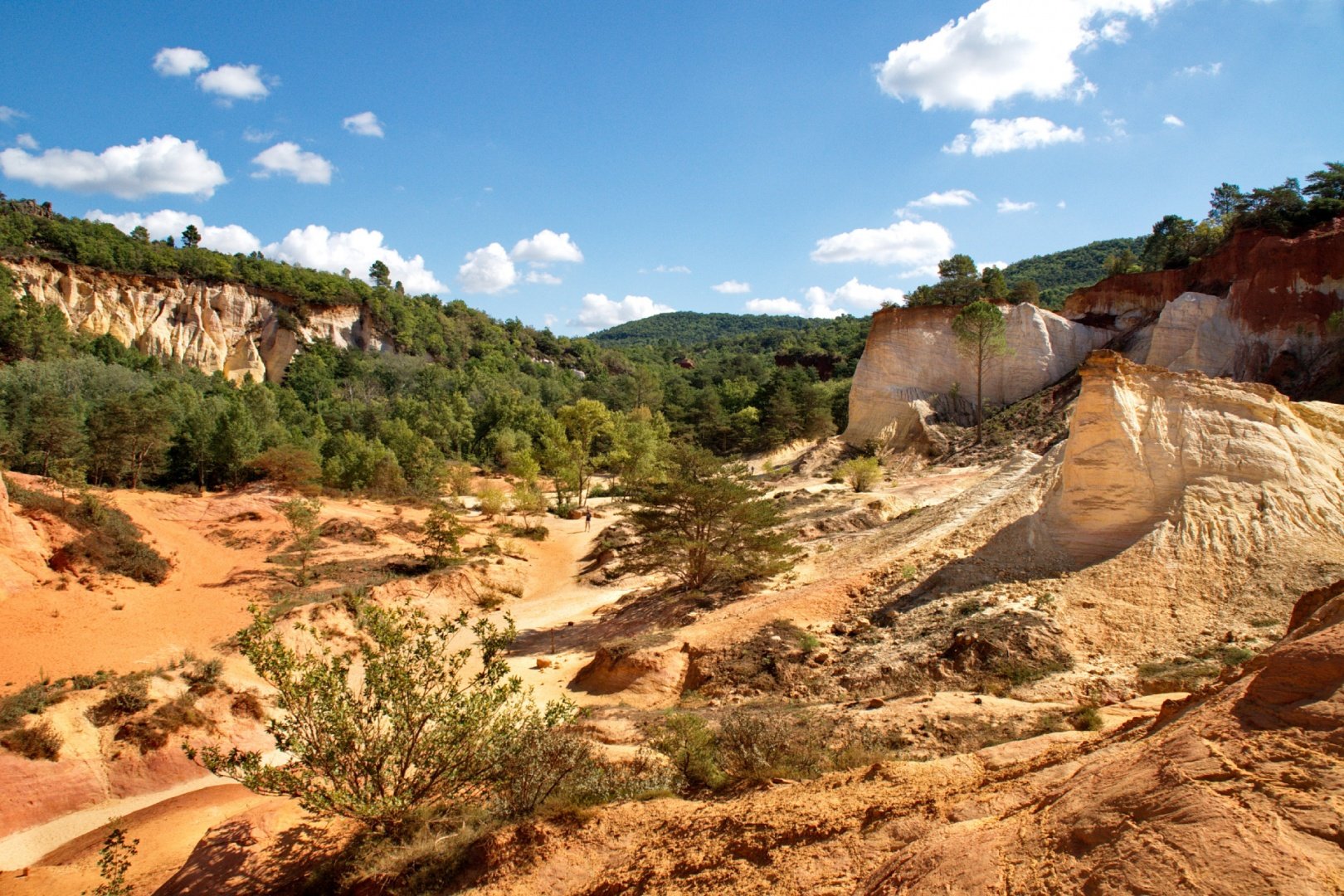 Dans-le-désert-du-Colorado.jpg