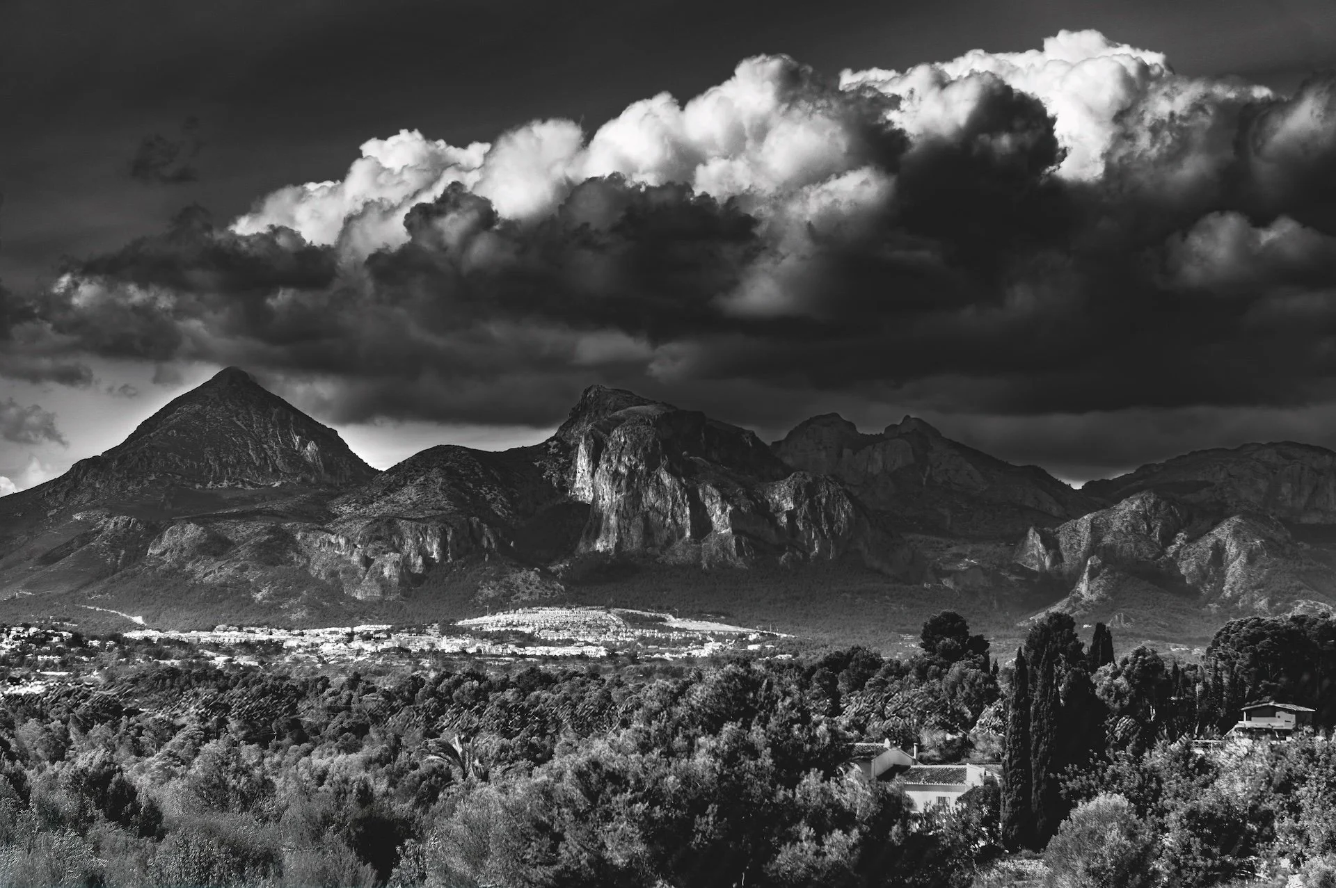 Défi 2 - A la manière d Ansel Adams.jpg