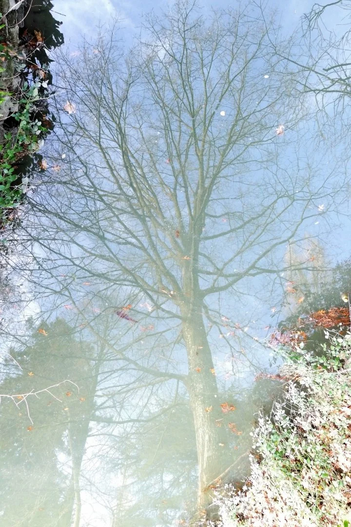 Irréel.JPG