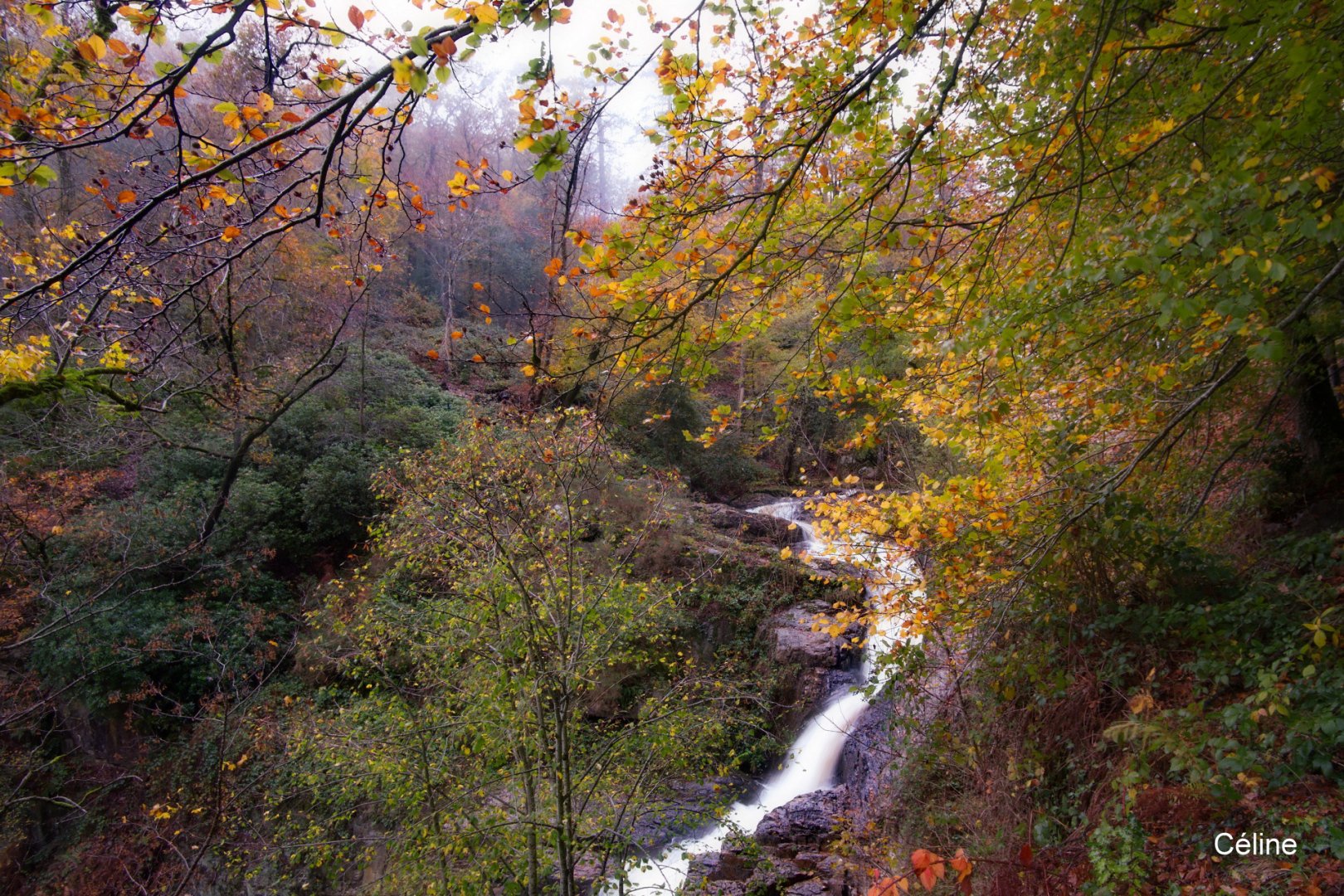 Saulges-et-Mortain_Celine_et_Nathalie_07.jpg