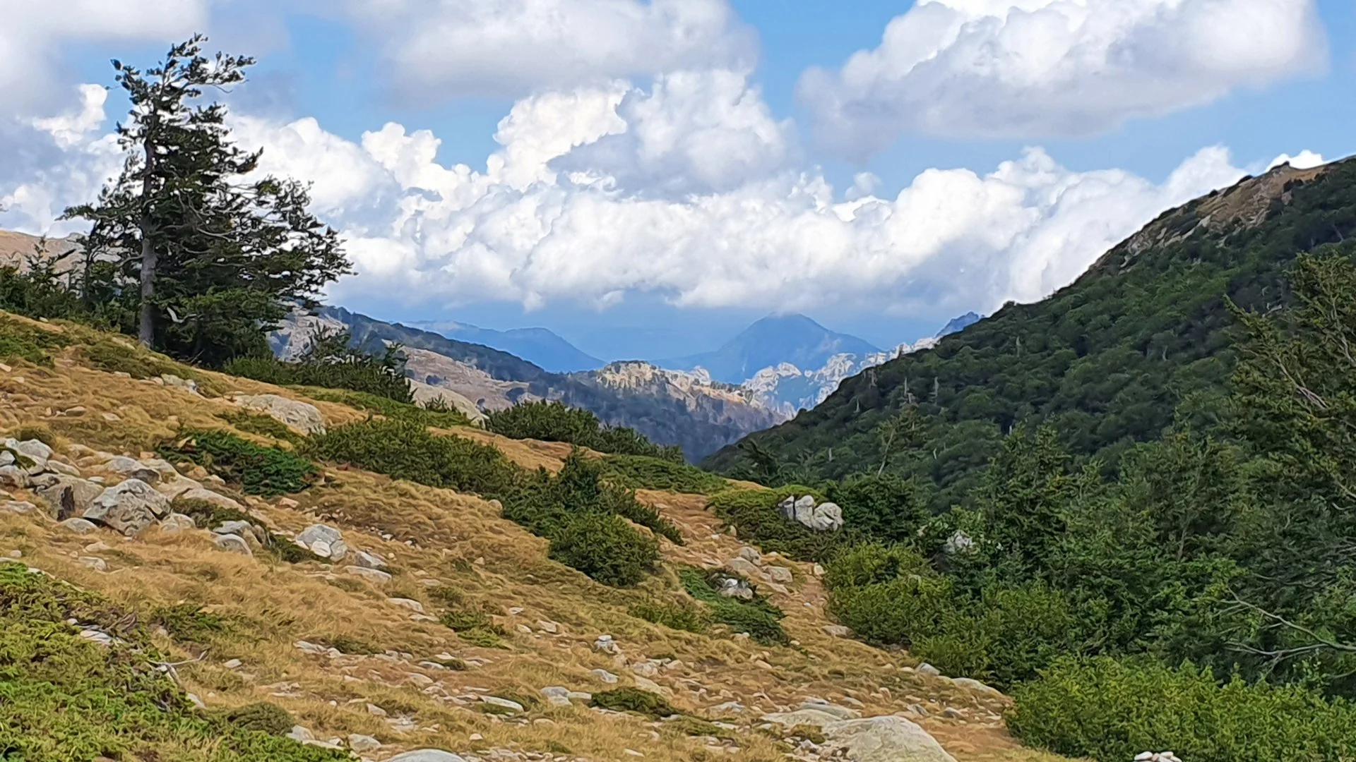 Col-de-Foce-dAstra-Corse.jpg