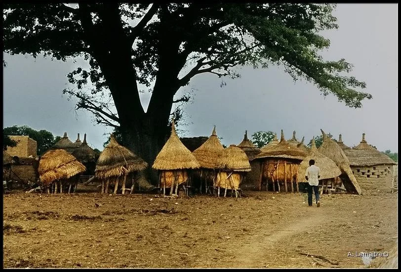 Souvenirs d'Afrique