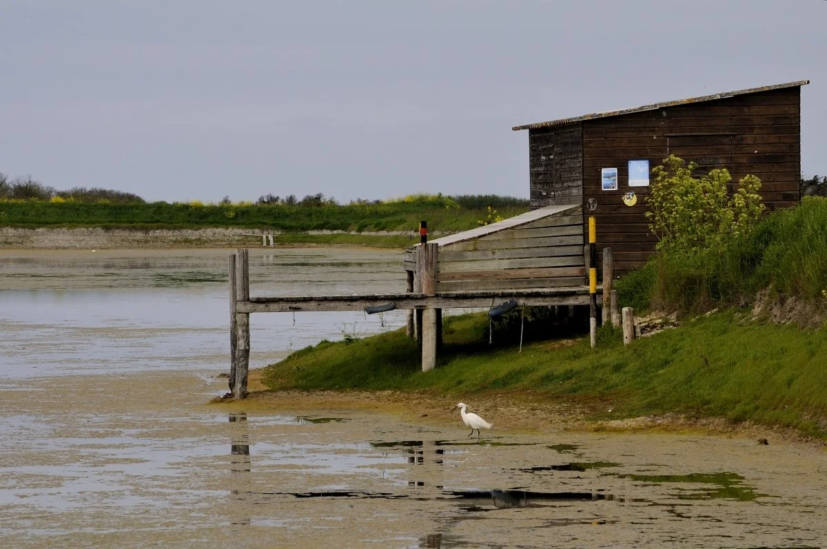 05JDRe_2013_DSC3701_01.JPG