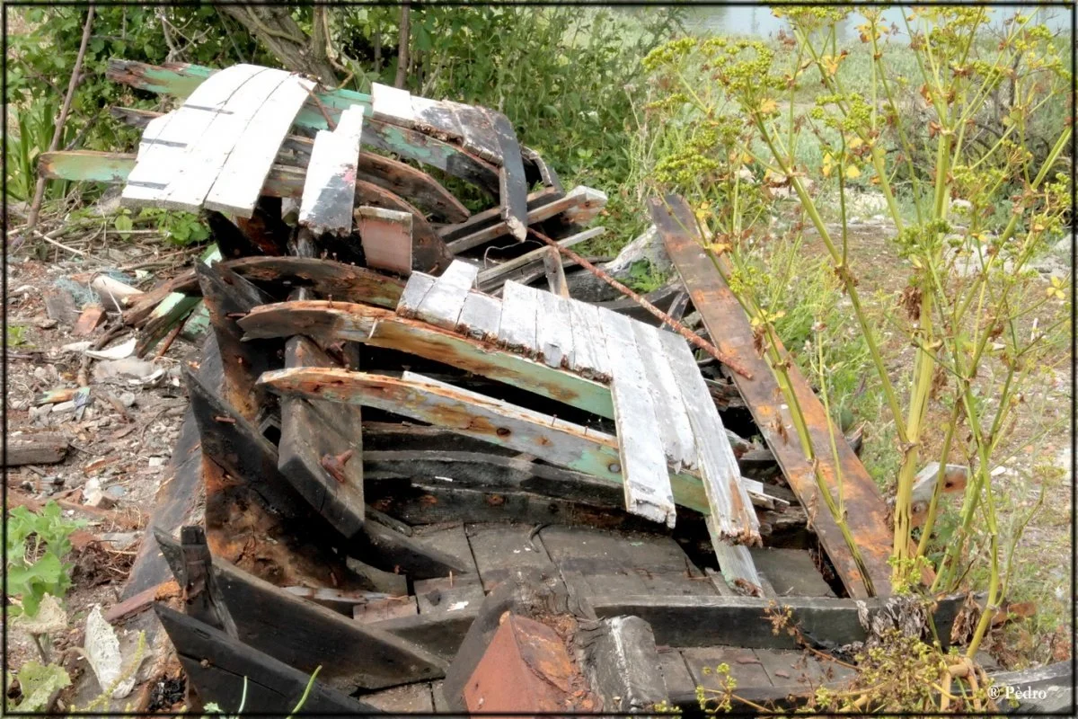 18-bateau.jpg