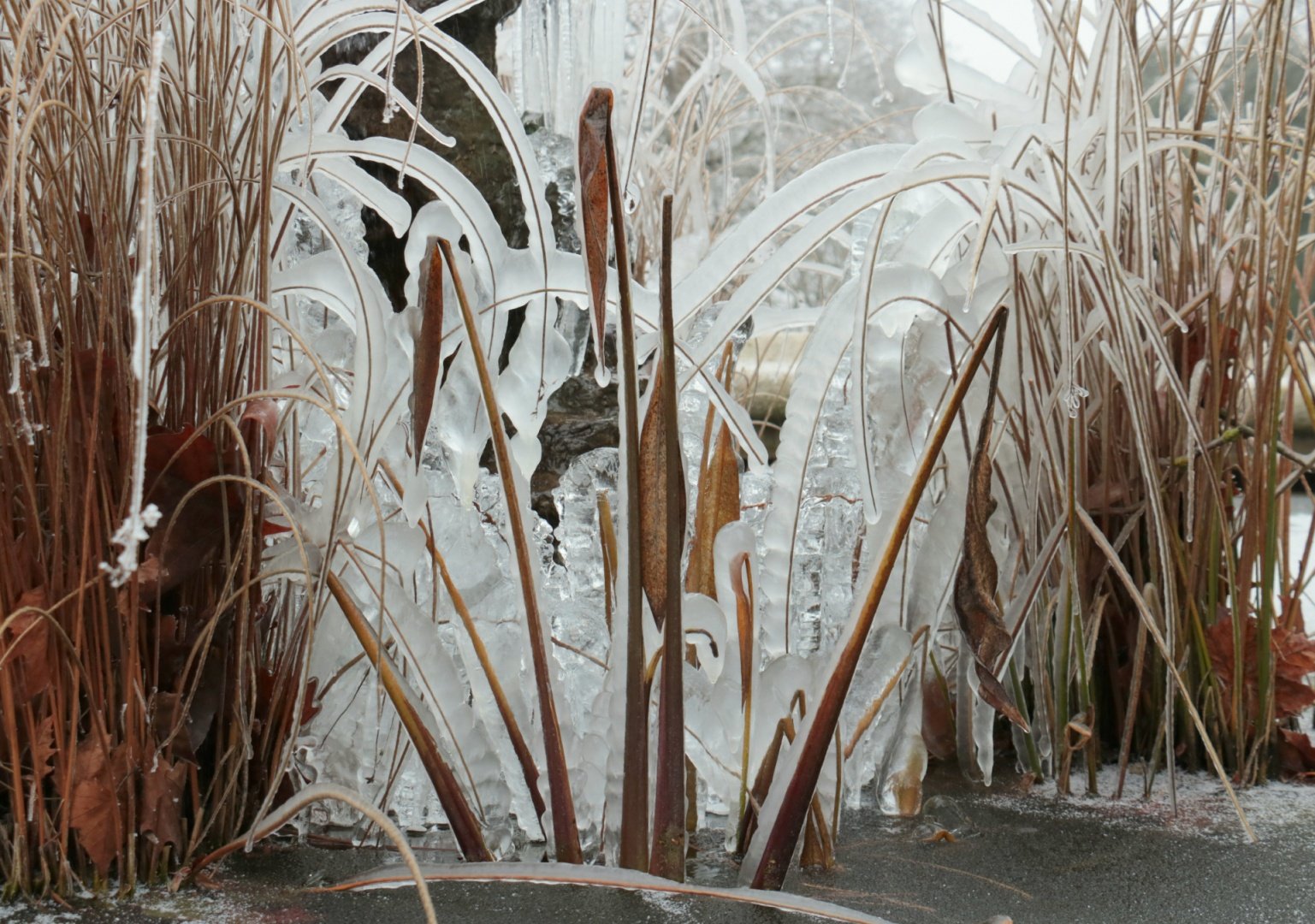 Transparence.jpg