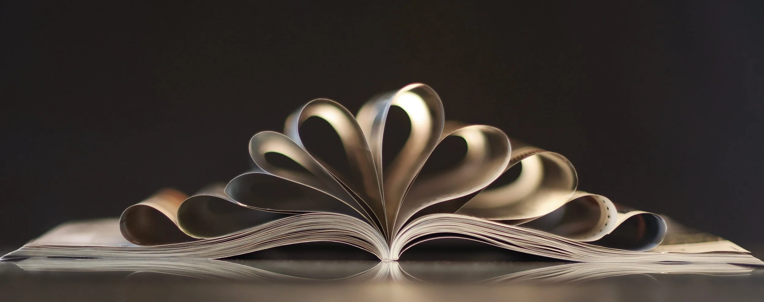 Mettre un livre en lumiere.jpg