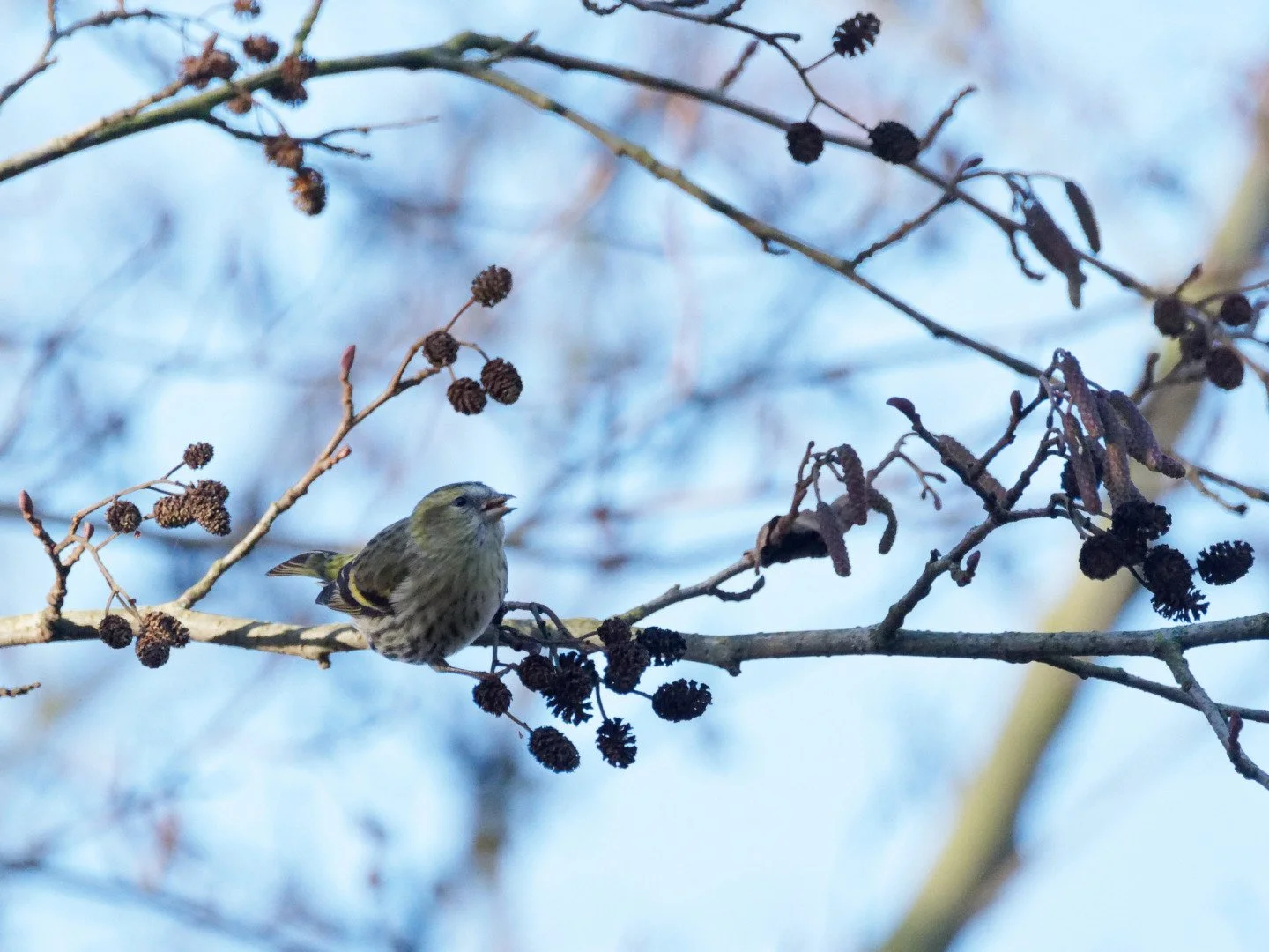 JV-Decembre-2023-PC060734_DxO-15.jpg