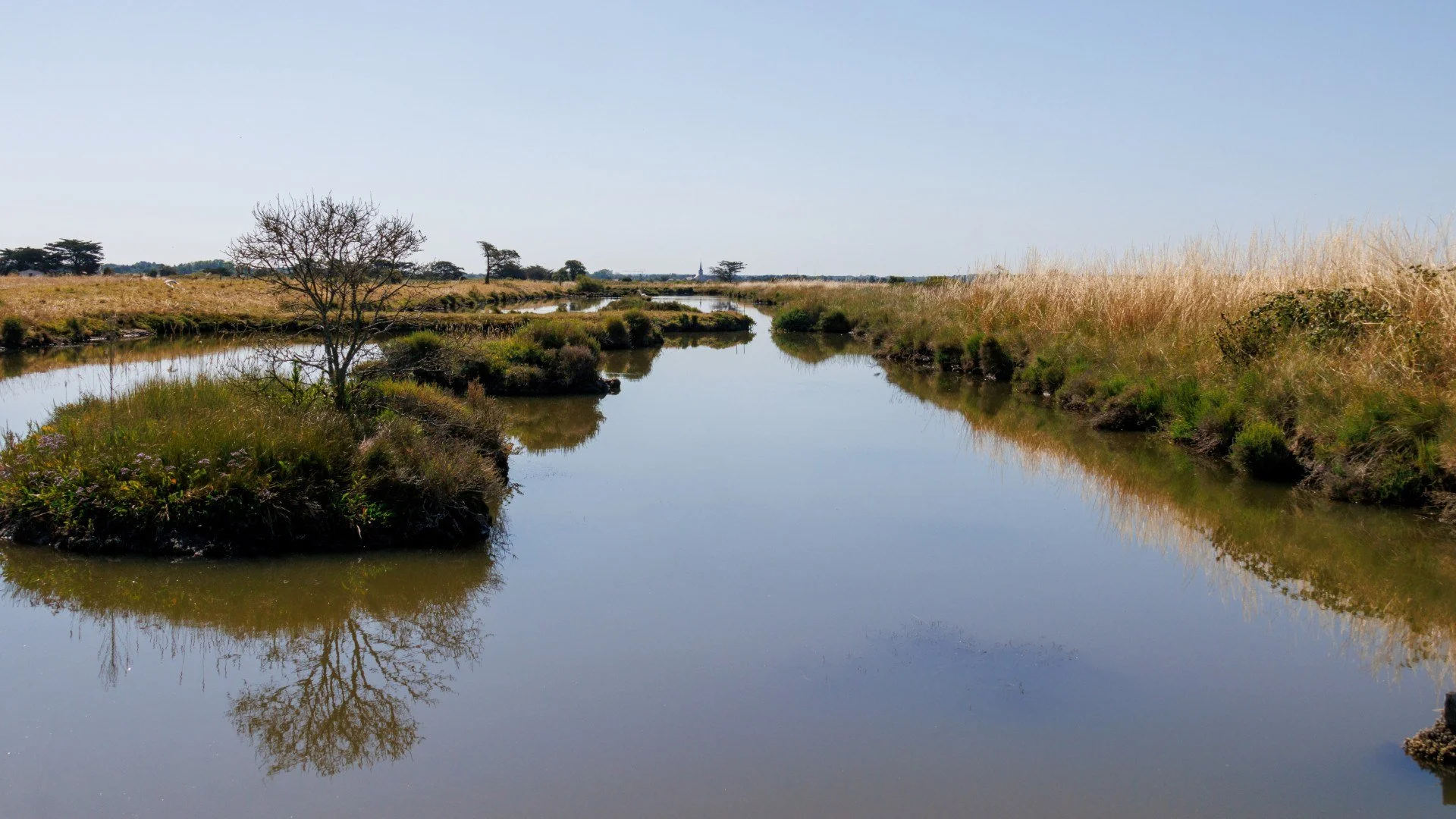 Marais-dOlonne.jpg