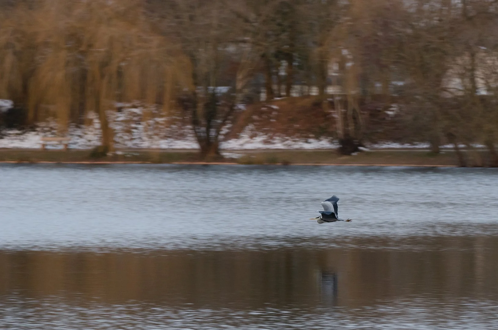 21_02_13-08_42_39-_DSC9449_2.jpg