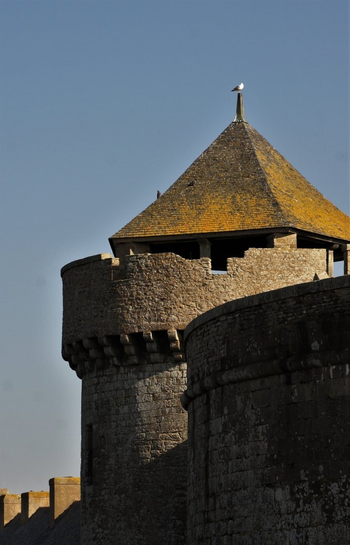 Pris-sur...-le-faîte.JPG