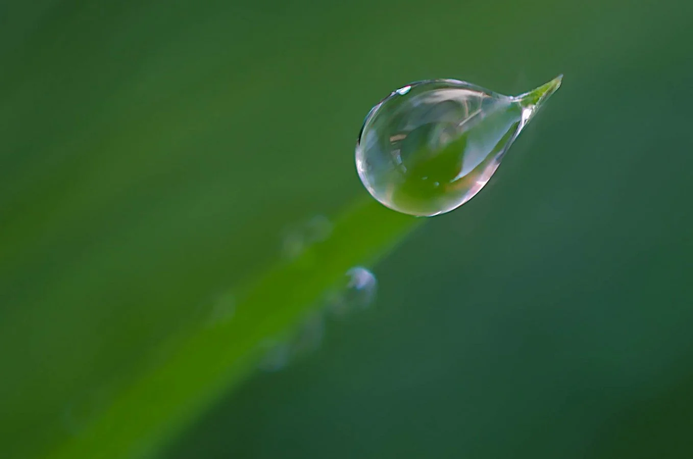 goutte.jpg