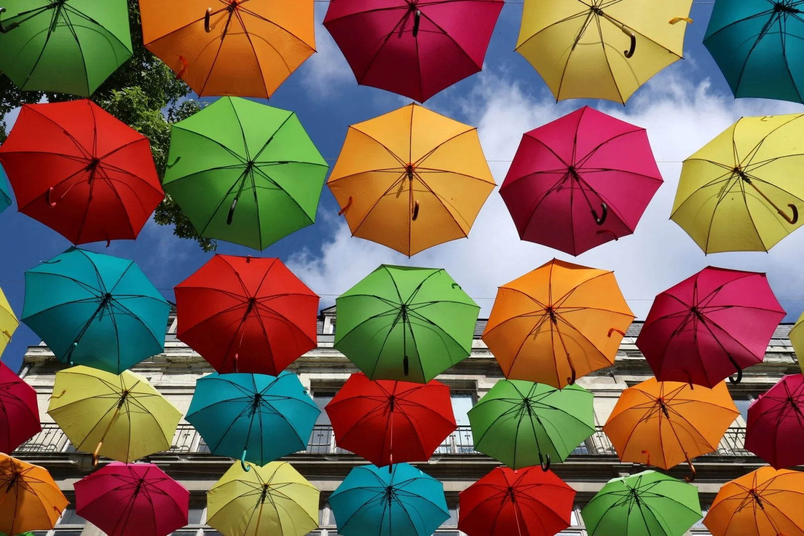 Laval_Image_Tri__photo_217.jpg