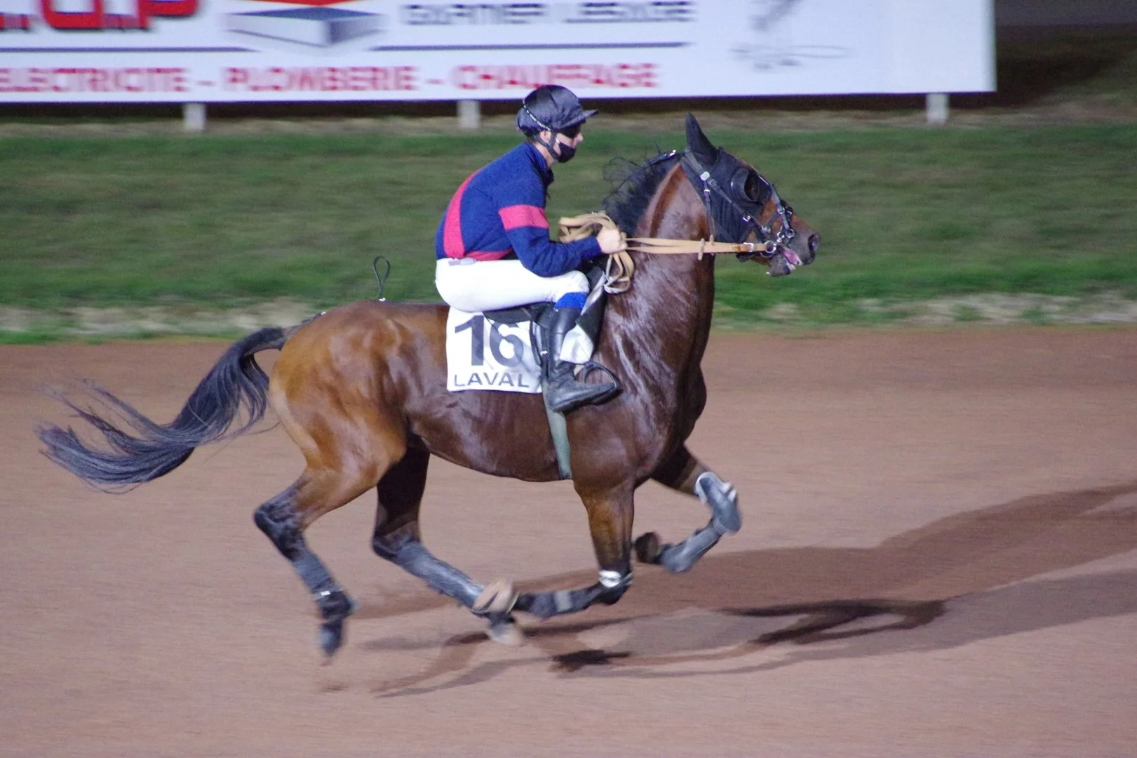 Au-galop.JPG