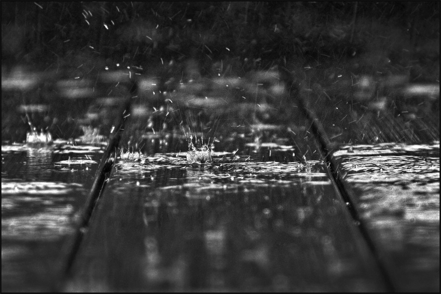Gouttes-de-pluie.jpg