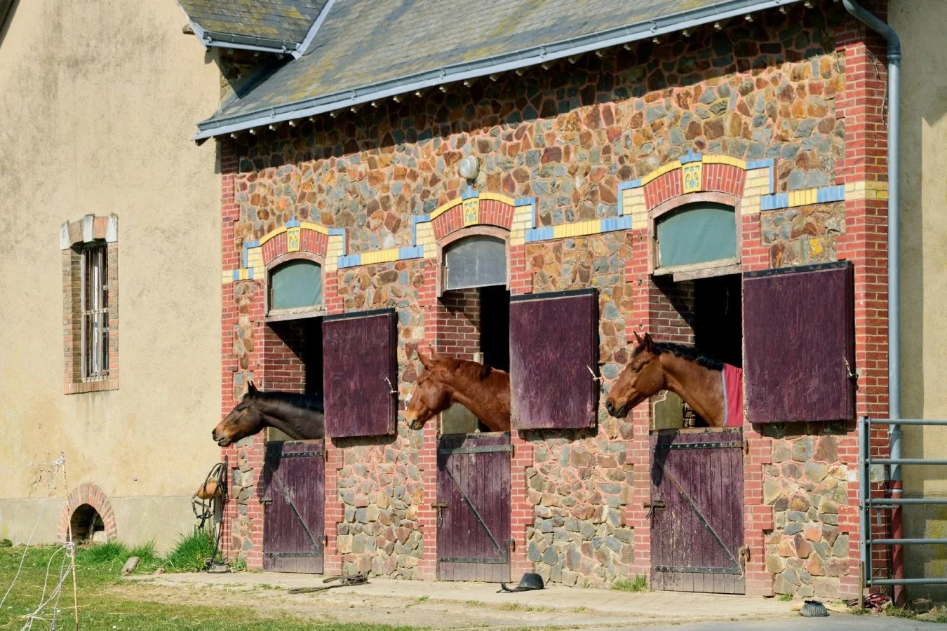 du-coté-gauche.jpg