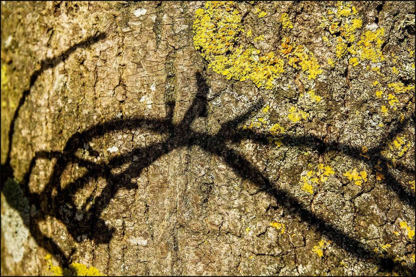 tag-naturel.jpg