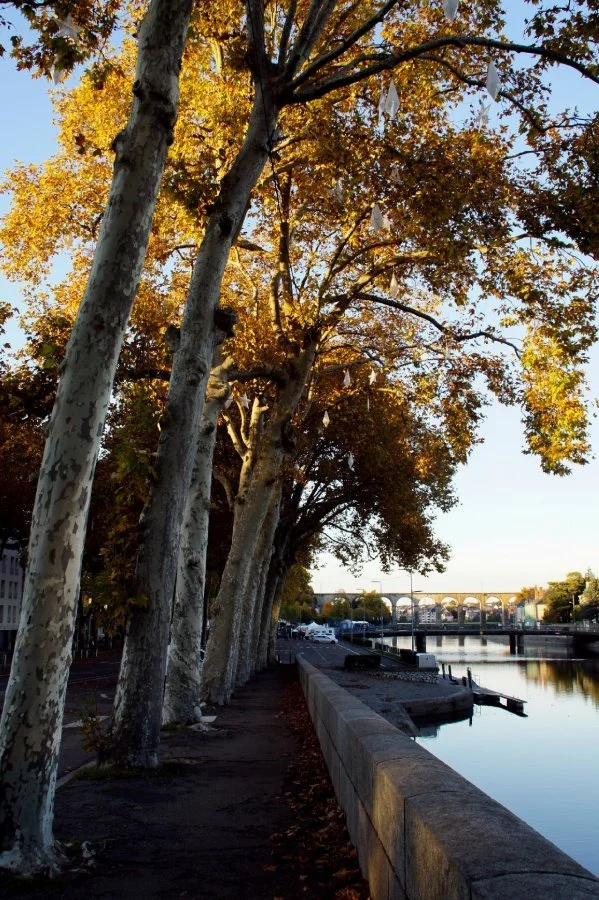 lumiere-dautomne-sur-les-quais_li.jpg
