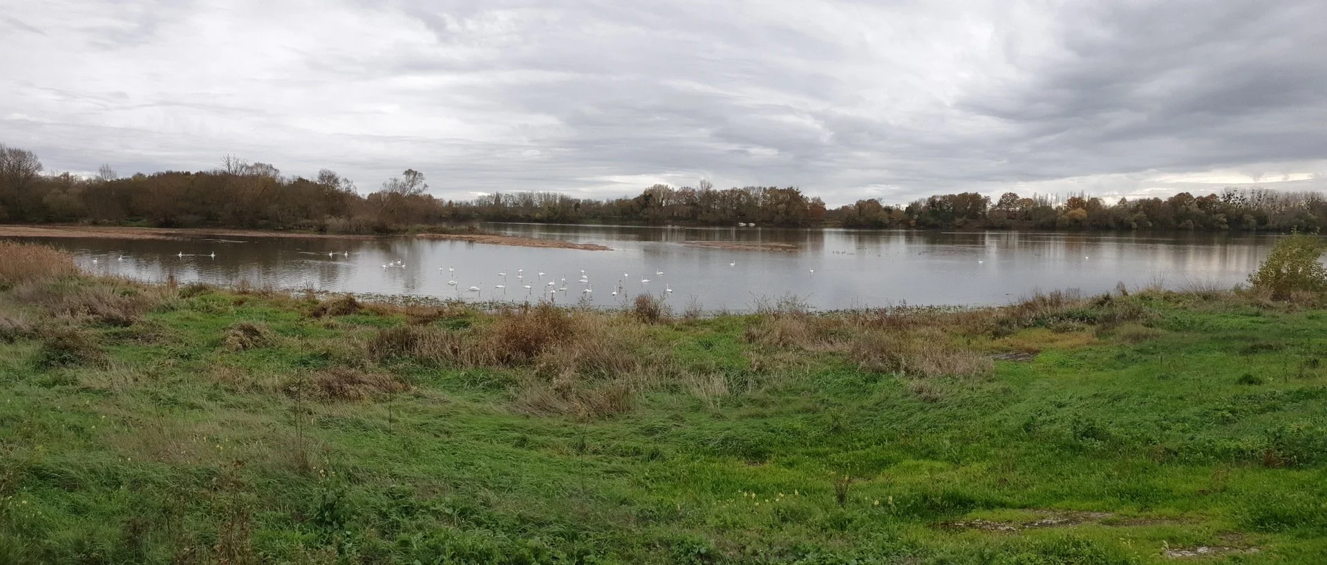 Serenite-du-bord-de-Loire.jpg