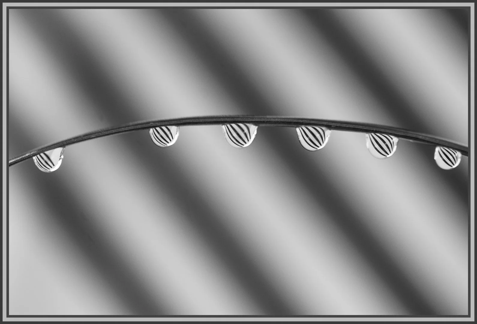 lignes_05.jpg