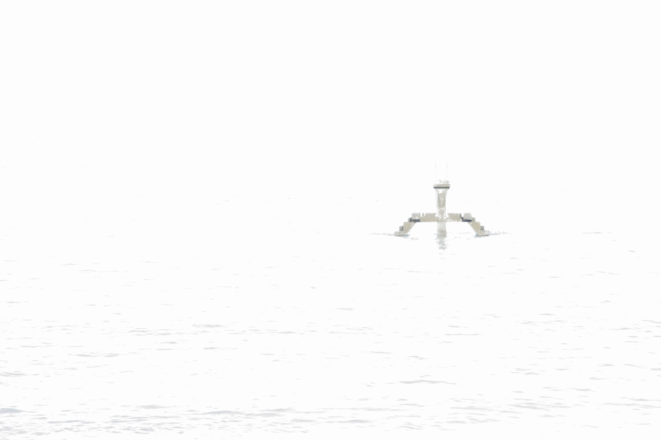 sans titre.jpg
