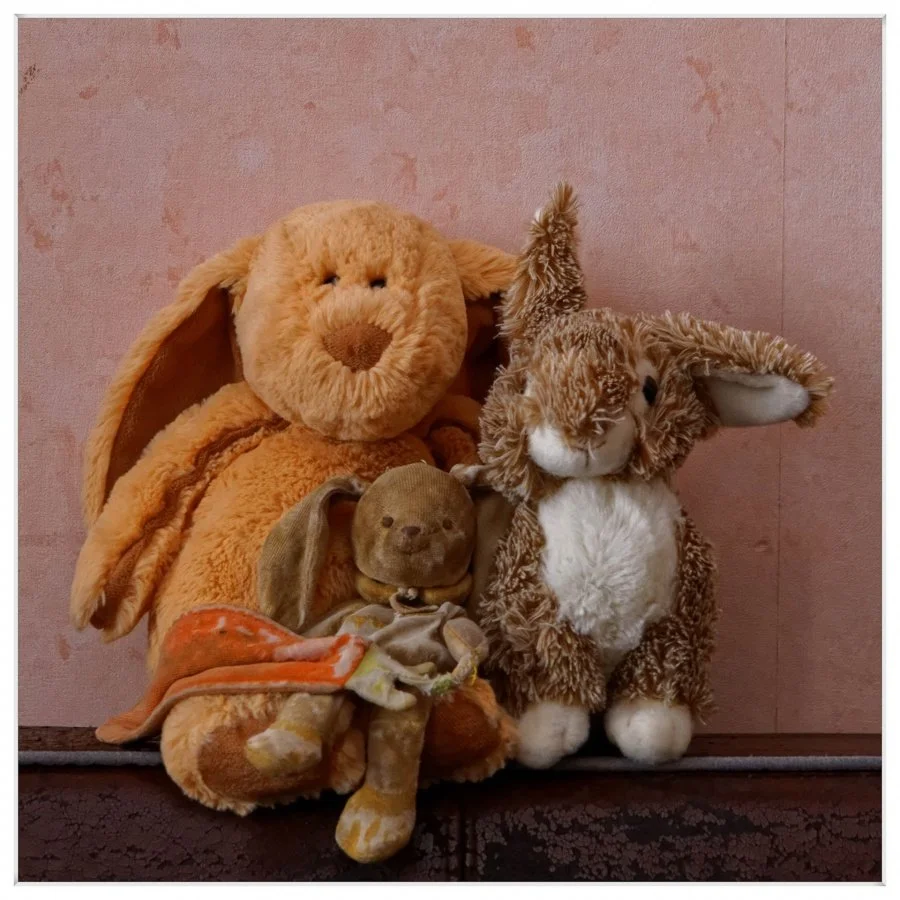 Portrait-de-famille.jpg