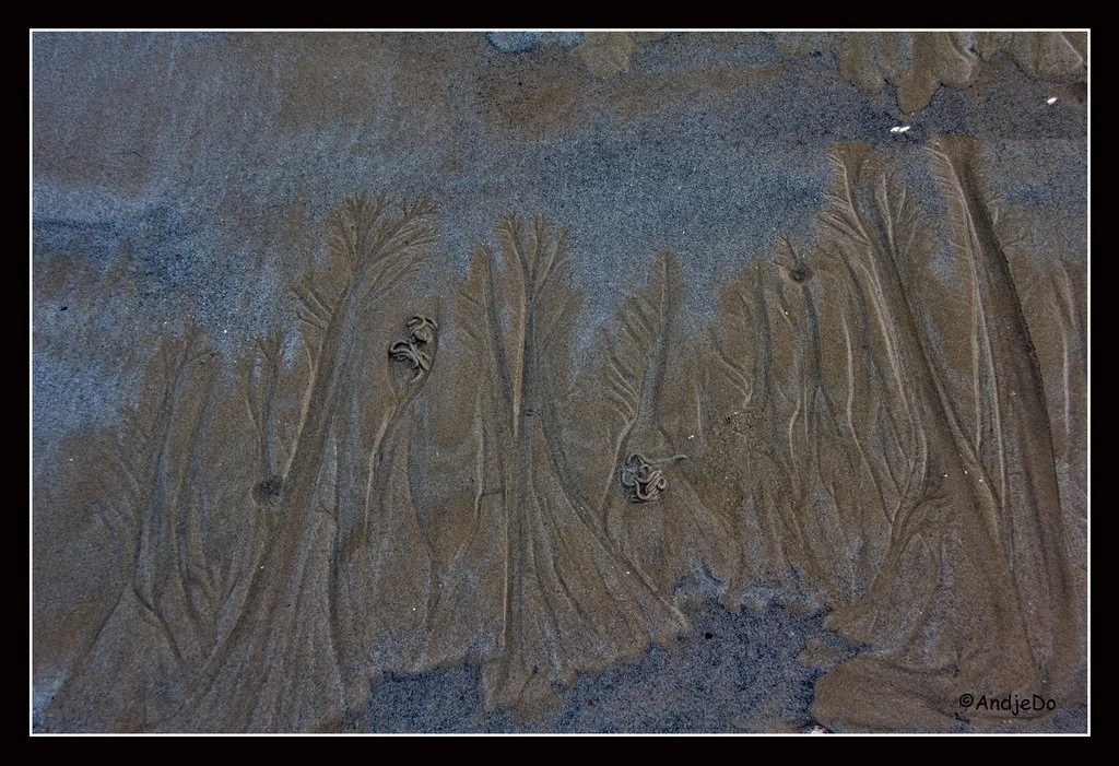 22ParamePlage.jpg