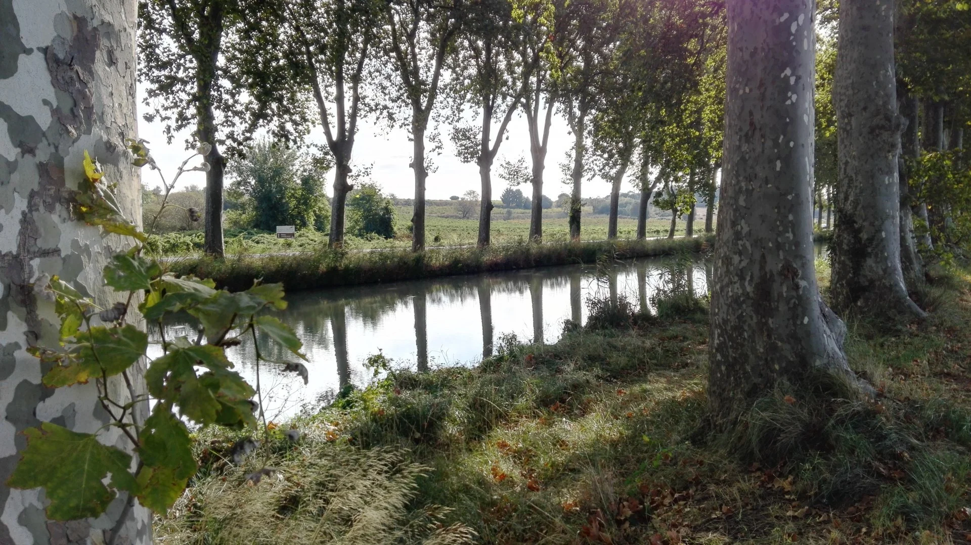 Canal-du-Midi.jpg