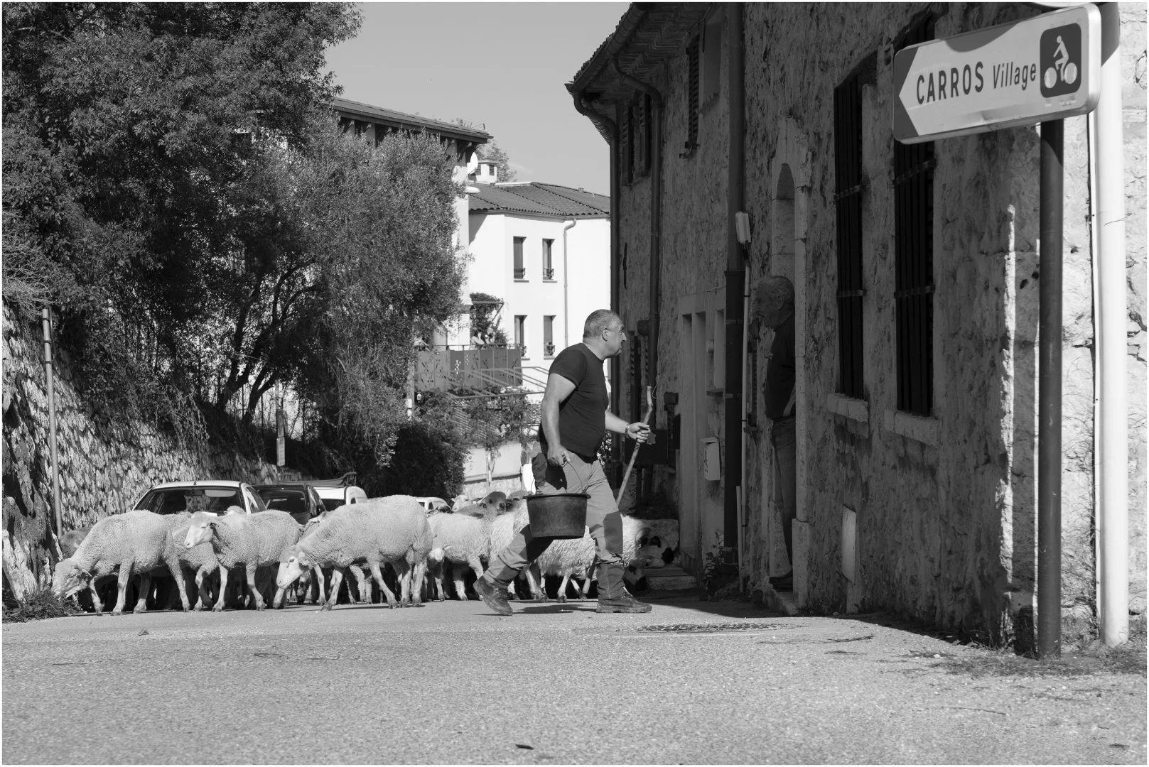 Transhumance.jpg