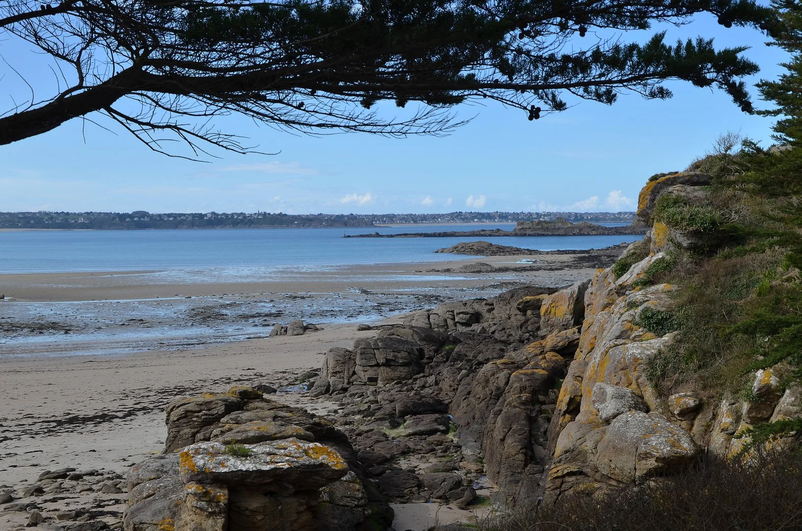 DSC_0178li.jpg