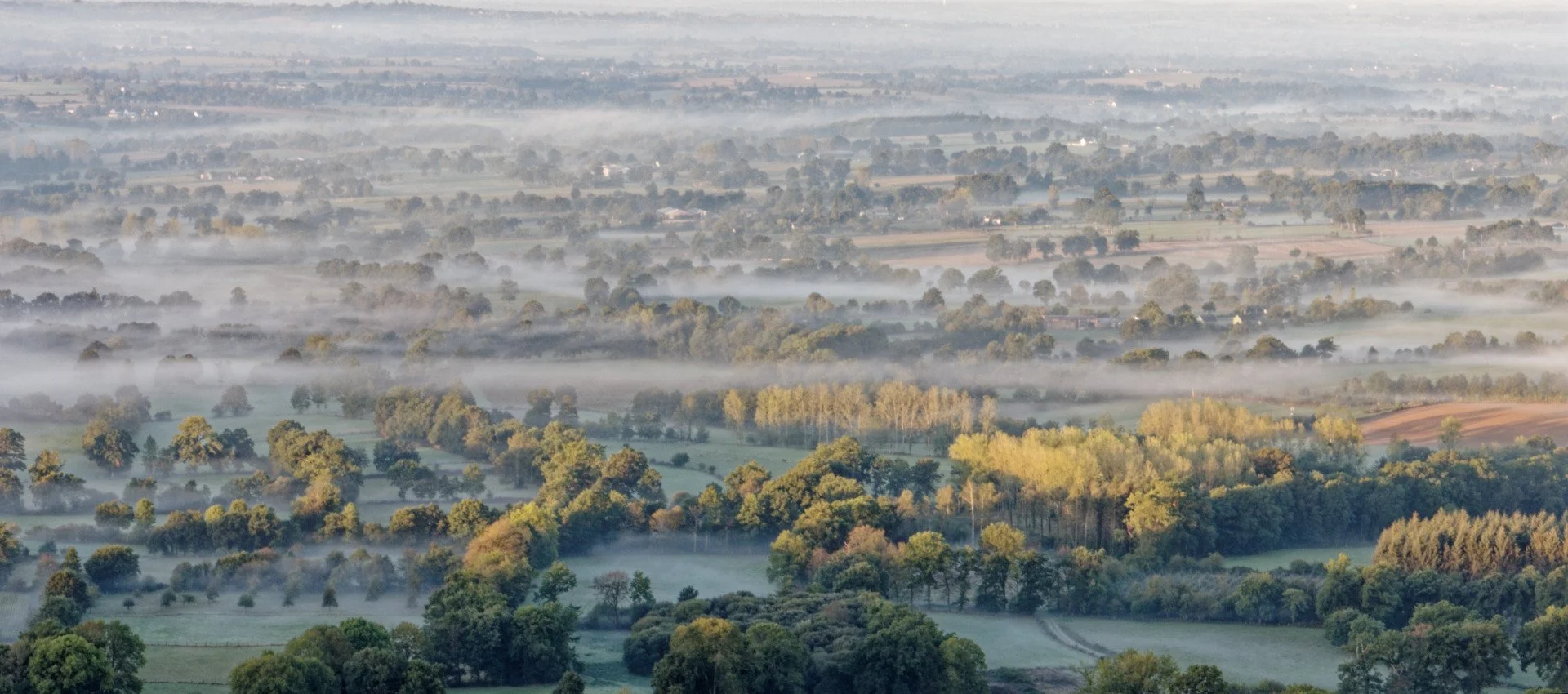 Petit-matin-sur-la-campagne-Mortainaise.jpg