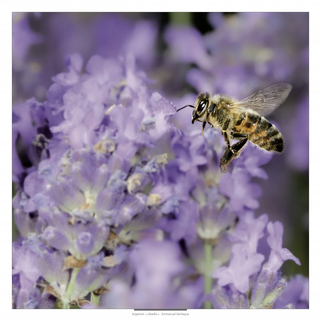 Support-leger-80X80cm-HD-2.jpg