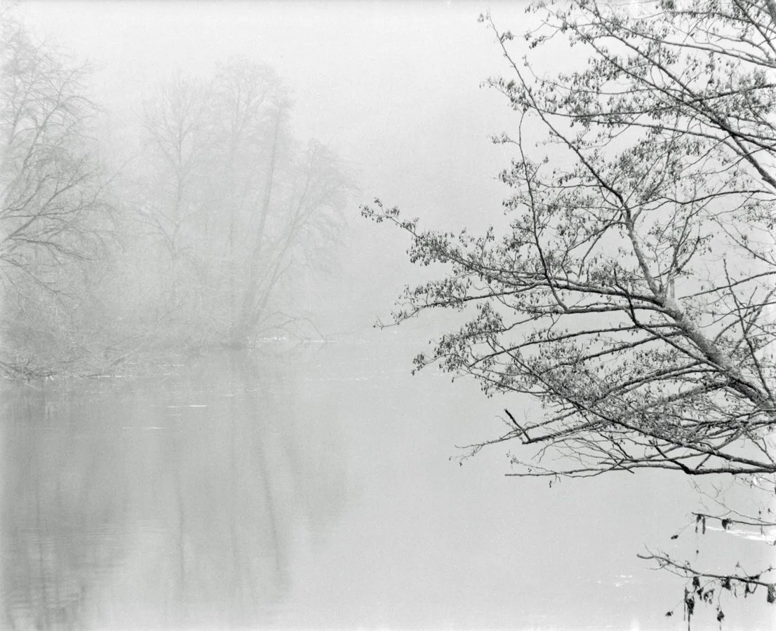 Onirique-Mayenne.jpg