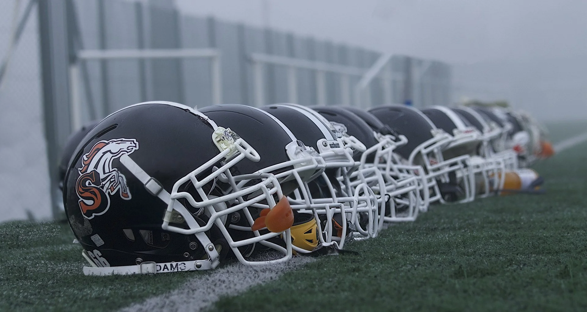 Football-americain-les-Stallions-de-Laval.-DeNoiseAI-severe-noise.jpg