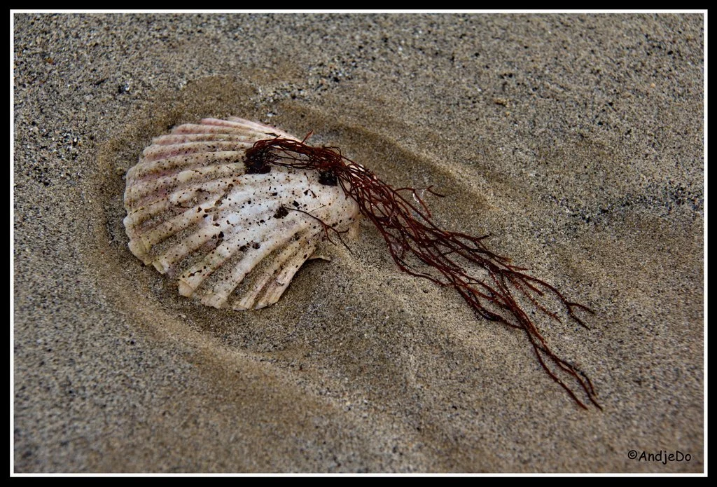 03ParamePlage.jpg