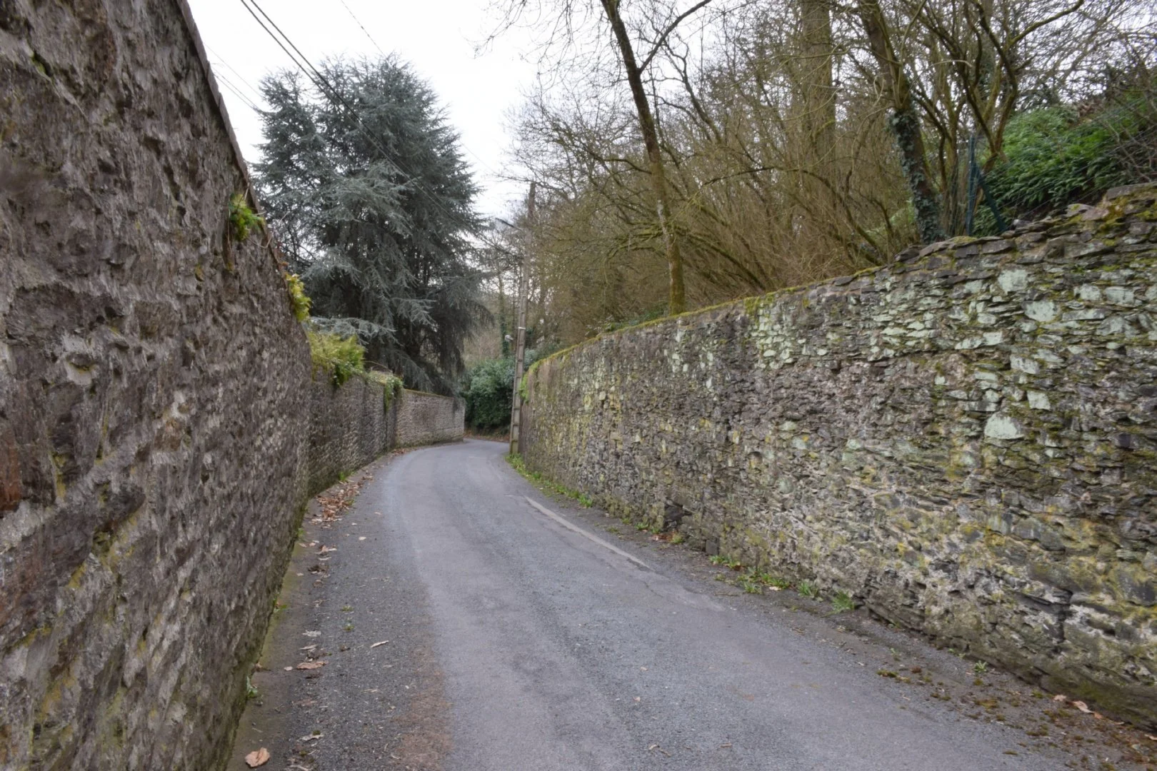 La-rue.jpg
