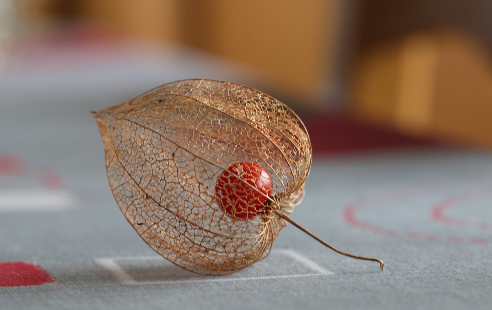 iso400-100mm-f5.6-1-8s-mode-M.jpg