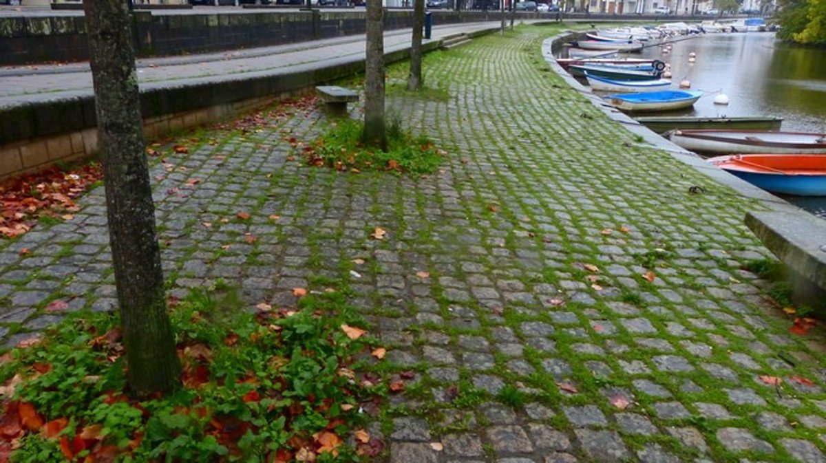 p1120839_li.jpg