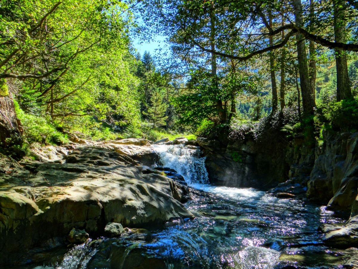 DSC00444.JPG