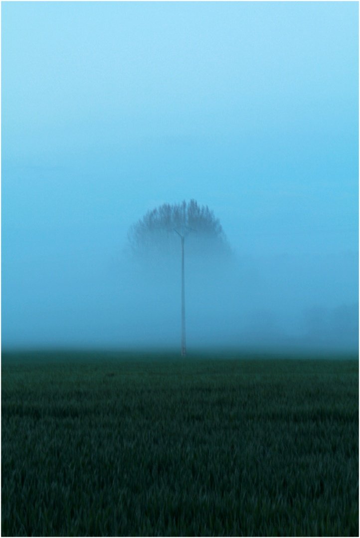 Arbre-suspendu.jpg