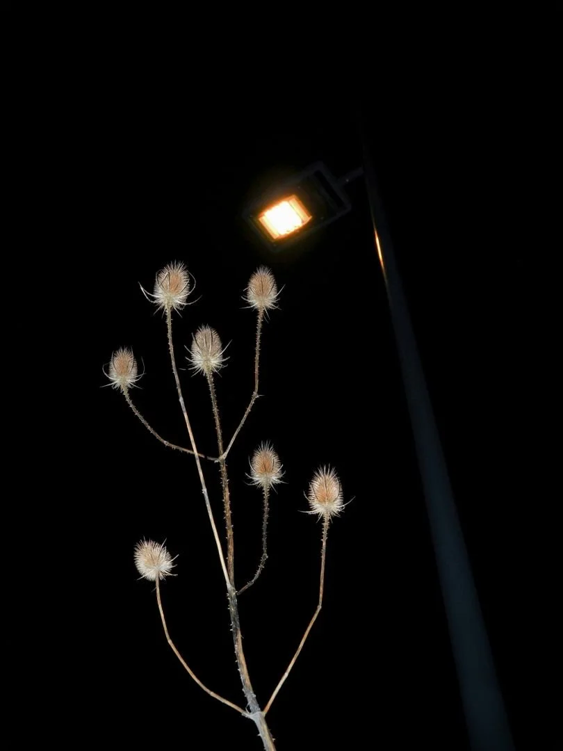 candelabres.jpg