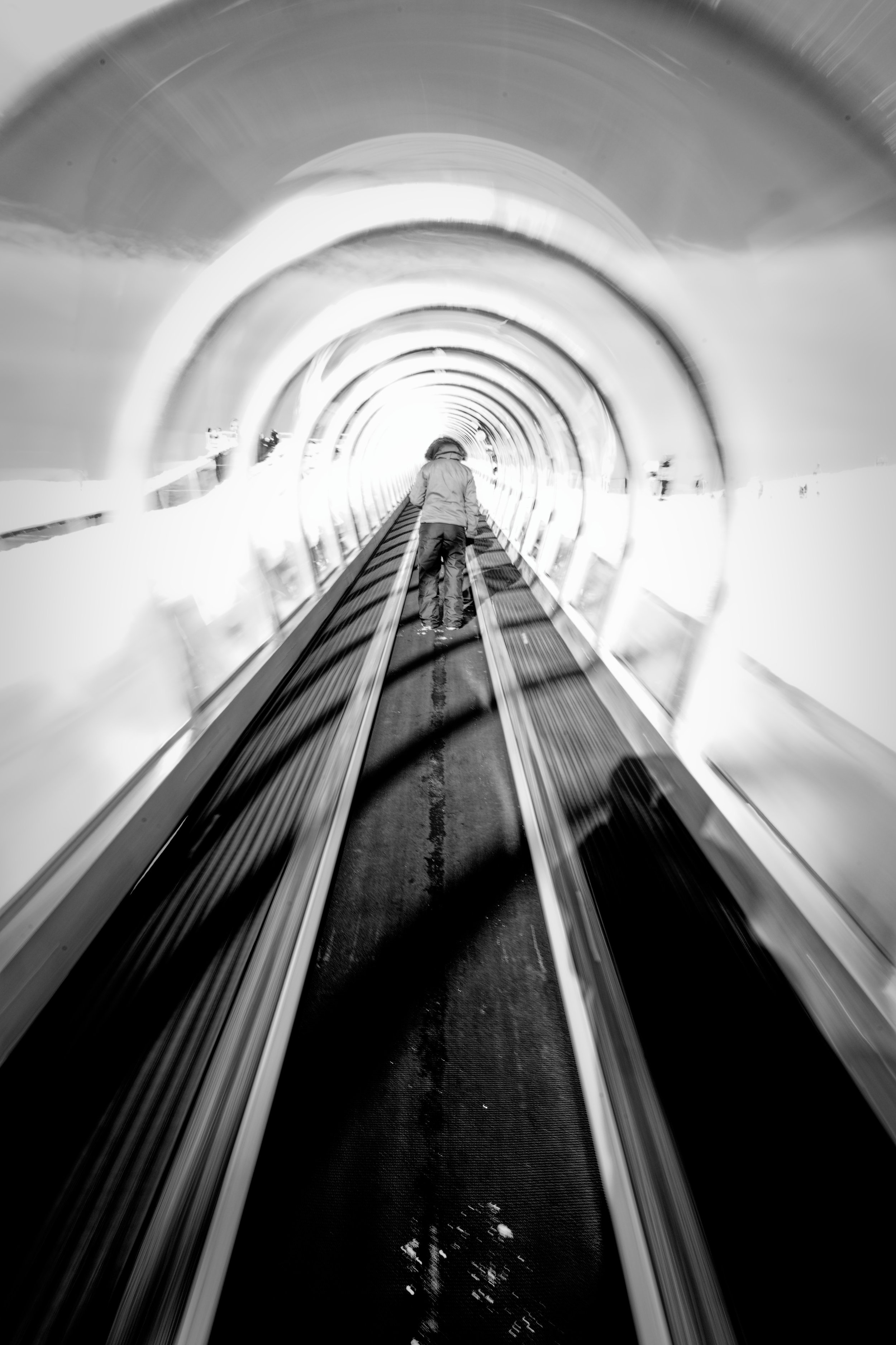 LIGNE DE FUITE.jpg