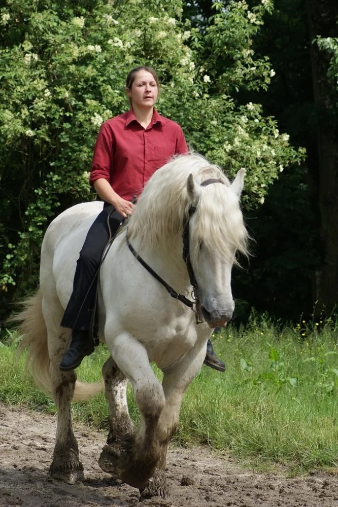 la-michaudiere-14.jpg