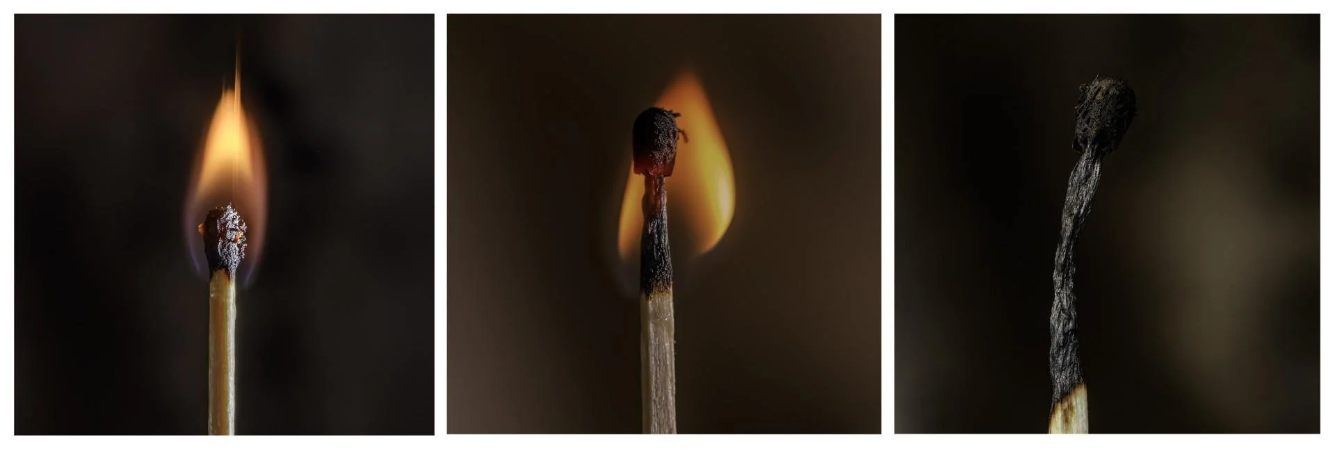 Sans-titre-08.jpg
